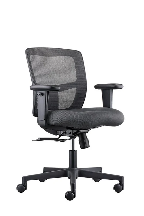 Zone Too Ergonomic Task Chair - Black