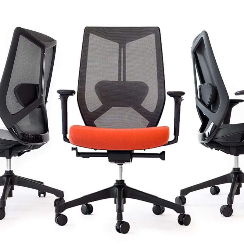 Friant Ignite Task Chair