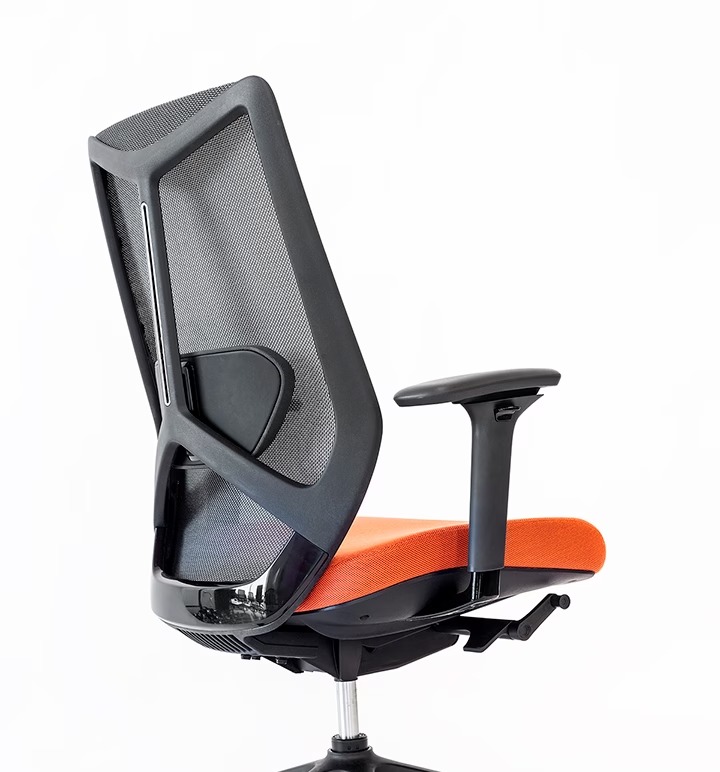 Friant Ignite Task Chair