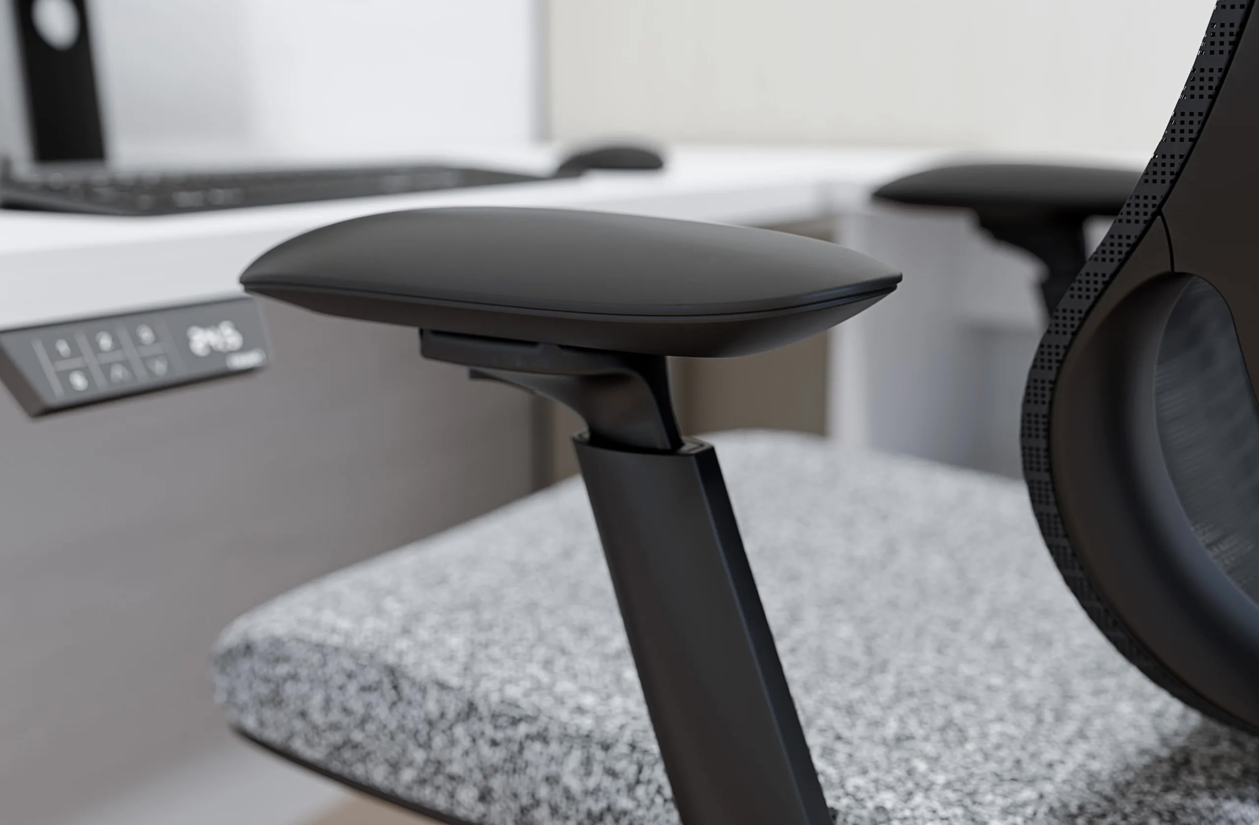 Friant Zenith Task Chair